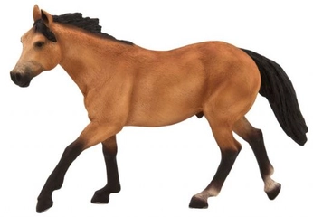 Amerikan Quarter Atı Türleri ve Özellikleri